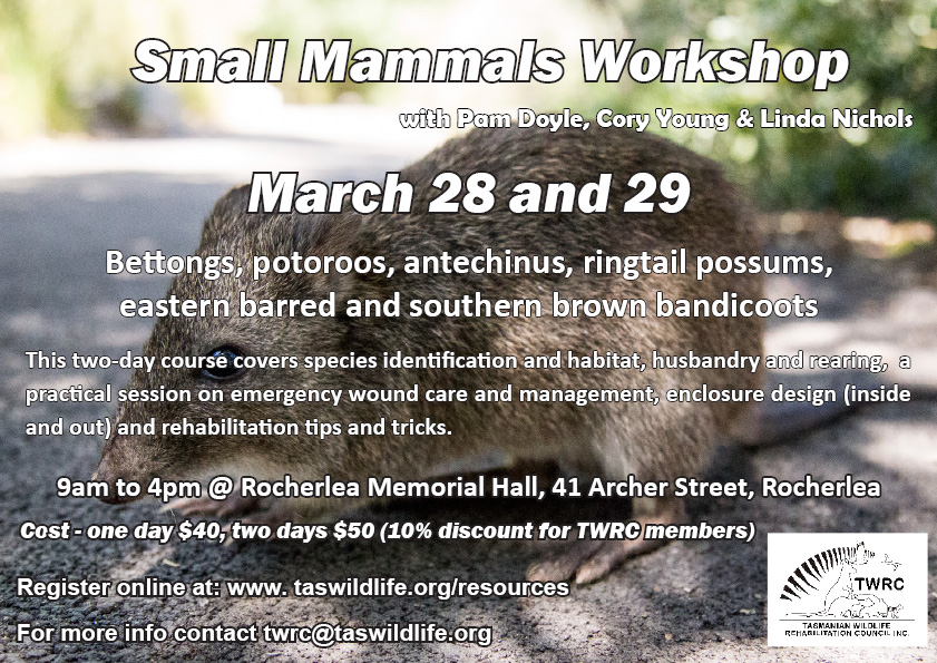 Small Mammals Workshop Poster
